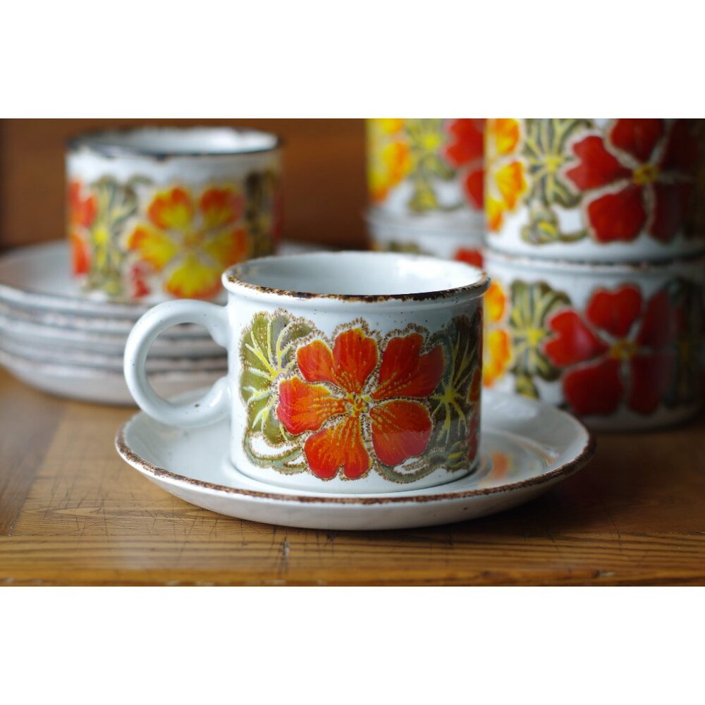 Set of 2 Midwinter Stonehenge Nasturtium Pattern Flat Cups Saucers Coffee Mugs